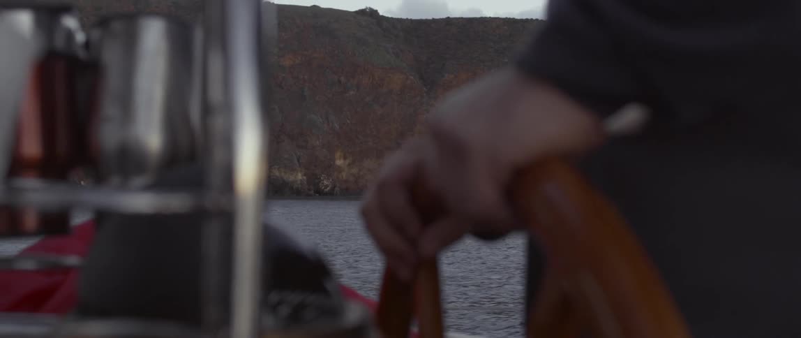 A person is steering a boat near the shore