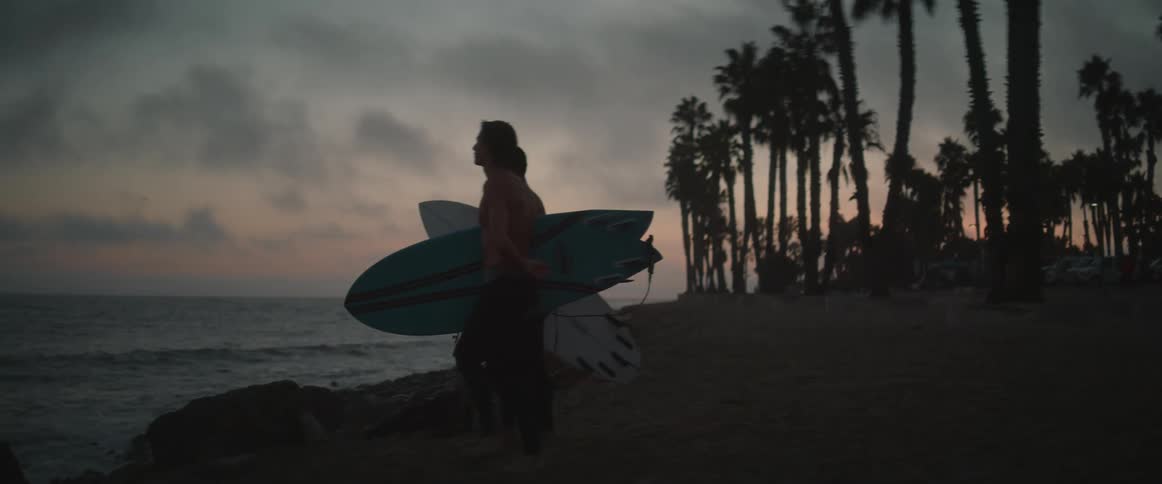 Two men with surfboards in their arms at the seaside at sunset