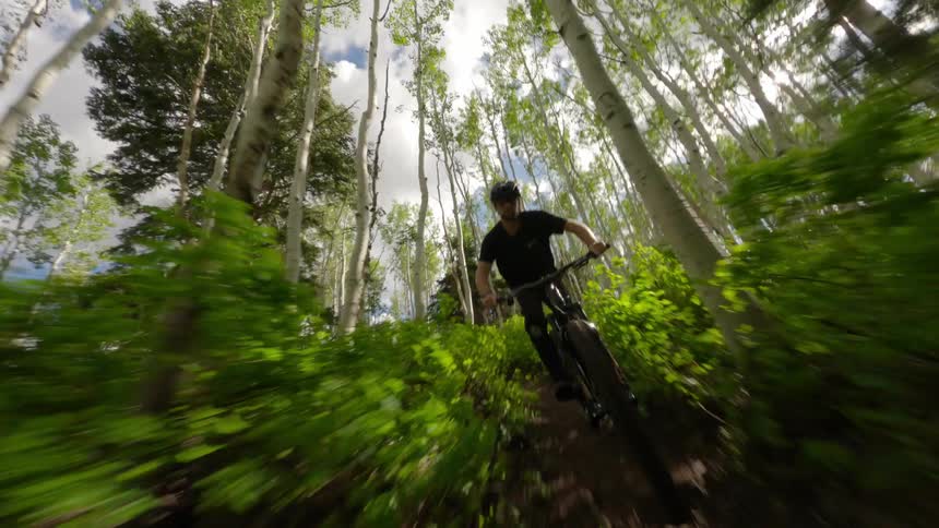 A man mountain biking on a trail within the forest