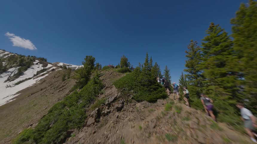 A large number of people hiking in an outdoor environment with vegetation and some snowcovered mountains