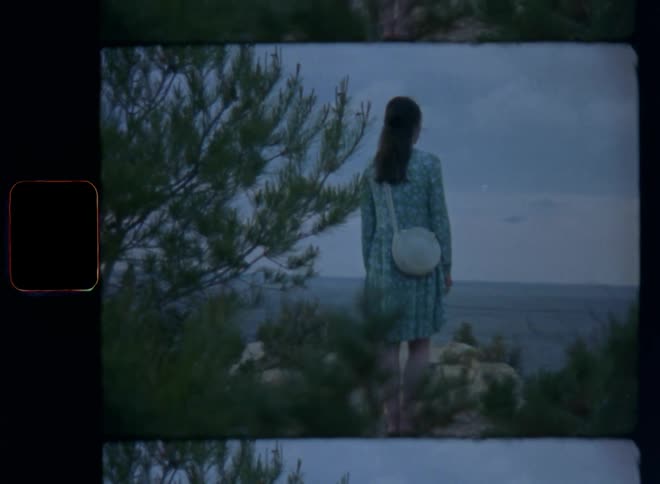 Backside of unrecognizable woman in chic or posh green dress standing on a cliff at the sea near bushes during the evening contemplating or looking or watching at the ocean water and horizon as the day comes to an end with dark moody light