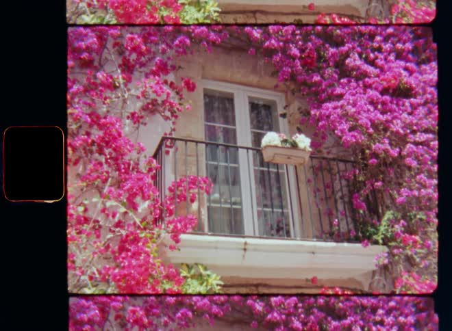 Approaching or walking towards stunning balcony with a railing and closed door or windows with shut curtains of a house covered with red and purple flowers in daytime as the flowering or blossoming plants provide habitat and pollen for bees