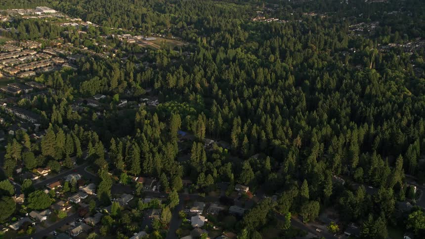 Approaching a suburban neighborhood in Beaverton Oregon at sunset with aerial footage showcasing houses surrounded by trees and green vegetation