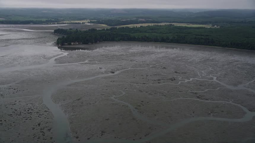 Aerial view of extensive wetlands lining the shores of Willapa Bay Washington during summer