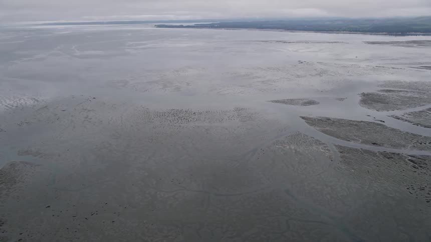 Aerial view of Willapa Bay's wetlands and shore in Washington with overcast sky and marshland showcasing the meeting point of the ocean and mainland near a forested area