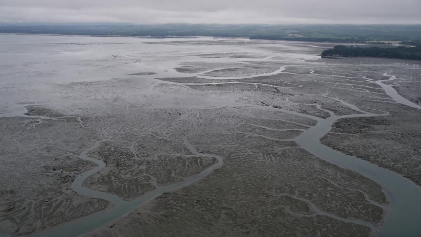 Aerial view of wetlands along the shoreline of Willapa Bay in Washington captured during a summer day