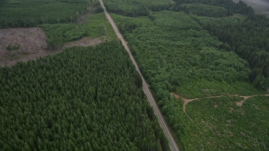 Aerial view of Highway 101 cutting through lush evergreen forest in Nemah Washington