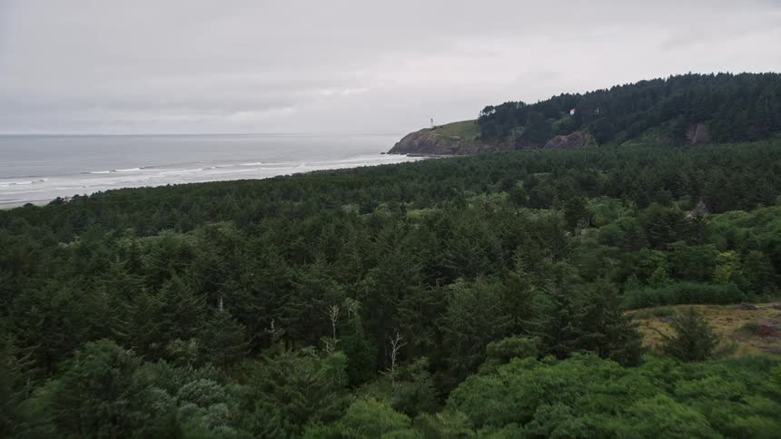 Aerial view of Cape Disappointment State Park revealing an empty beach near North Head Light surrounded by a dense evergreen forest on a sunny day in Washington during summer