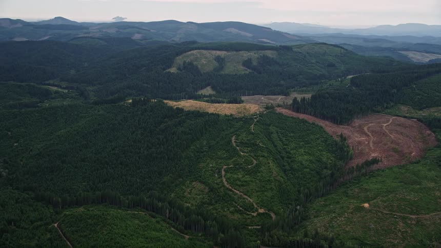 Aerial view of a large logging area in an evergreen forest in Washington County Oregon during the day