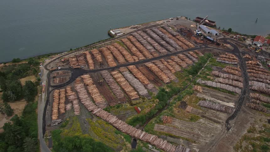 Aerial footage of lumber piles at a seaside lumber yard in Warrenton Oregon captured during daytime in the summer
