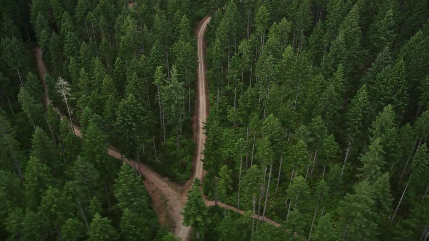 Aerial footage flying over country roads through a forest in Gig Harbor Washington during summer