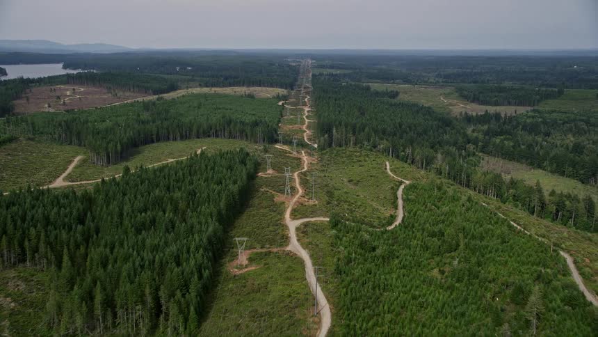 Aerial footage of dirt roads and power lines in Grapeview Washington during summer