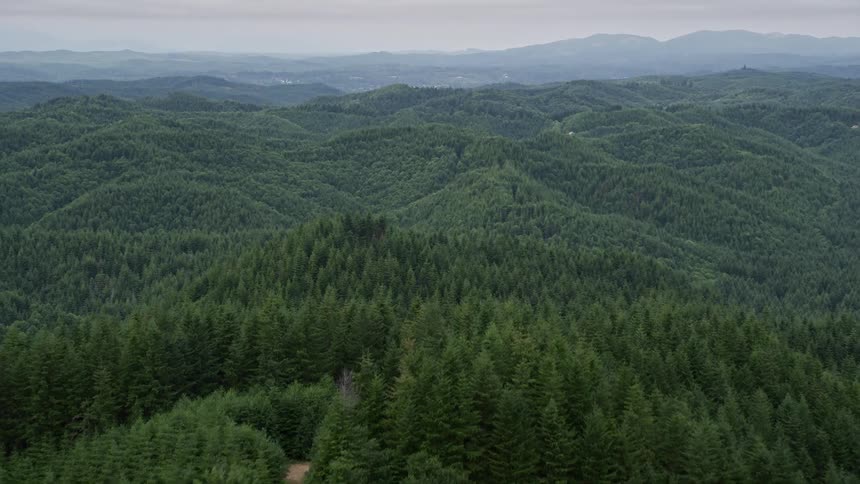 Aerial flyover capturing the lush forest landscape of Satsop Washington with hills and evergreen trees in the background