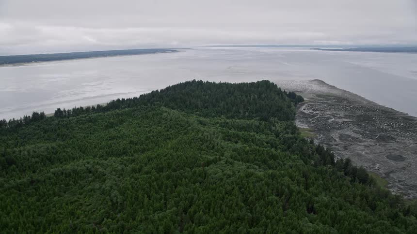 Aerial view of an evergreen forest and marshy shore on Long Island Washington during summer