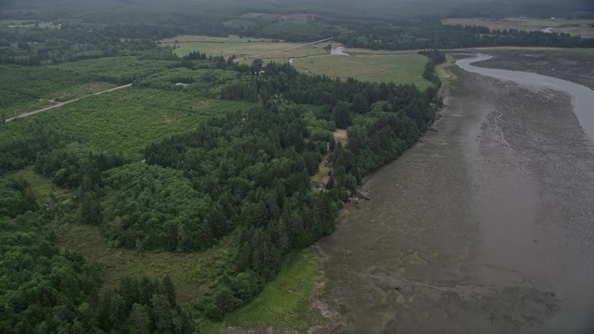 Aerial view of a lush evergreen forest and wetlands on the shore of Willapa Bay Nemah Washington during the summertime