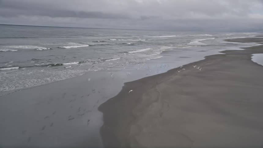 Aerial footage captures waves crashing onto an empty beach as seagulls take flight on a cloudy day in Long Beach Washington during summer