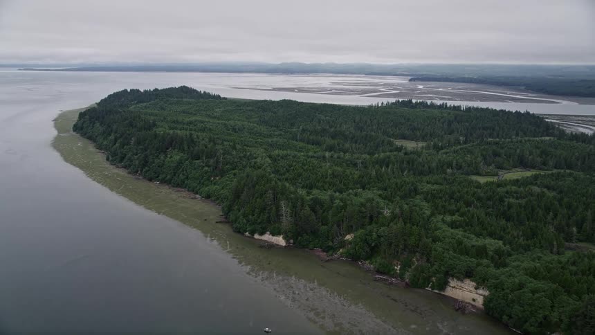 Aerial footage shows a lush green shore and dense evergreen forest on Long Island Washington during the summer