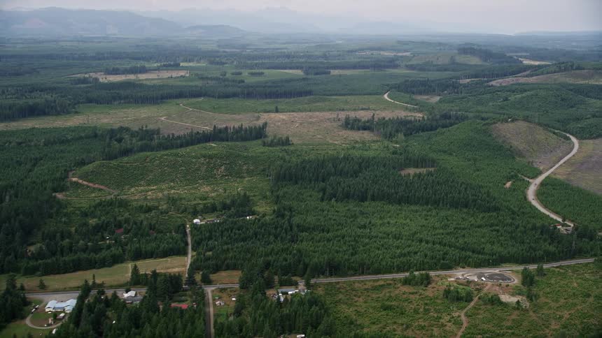 Aerial view of rural homes country road and logging areas in Mason County Washington during summer