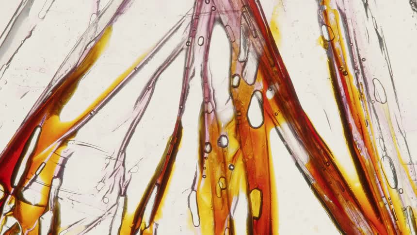 Computeranimated abstract art of liquids flowing through arteries