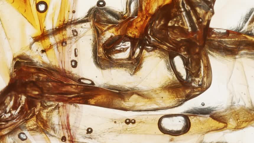 Liquid forming bubbles with brown lines