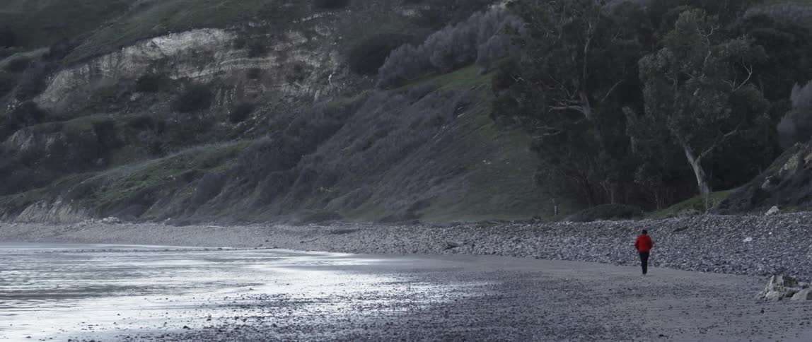 A person is walking along the shore