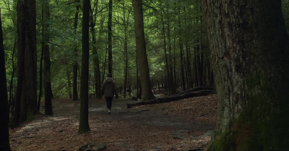 Hiker wearing thick coat walks along path through conifer forest