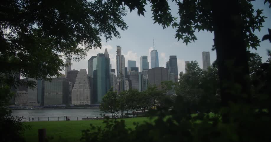 A view from inside a park with trees and on the horizon there is a city with huge buildings in front of a river