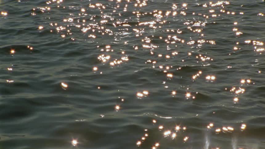 Light shimmers as it reflects from small waves in flowing water