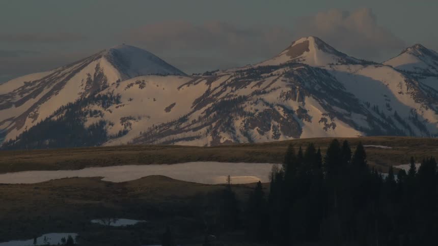 A grassland in front of snow covered hills