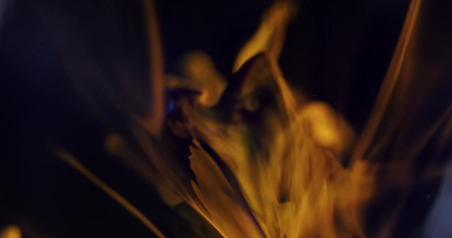 Densely launched abstract smoke