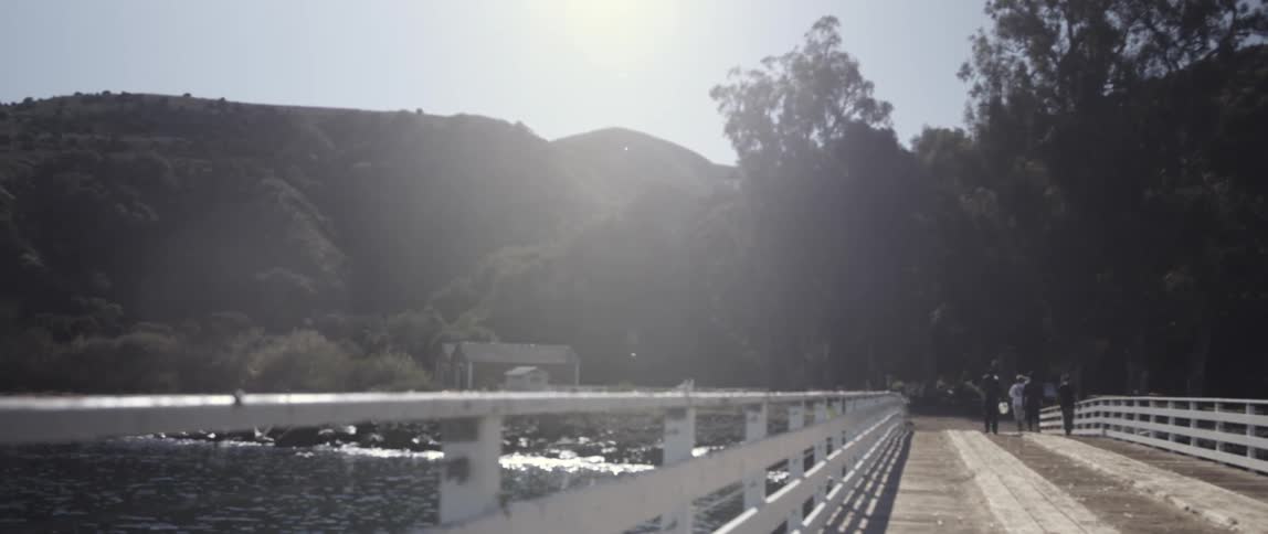 People are walking over a bridge as birds fly over