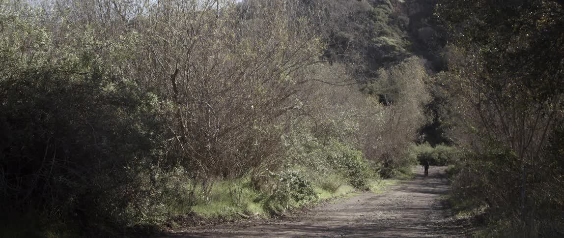 A person is walking along a dirt trail near a hill ahead