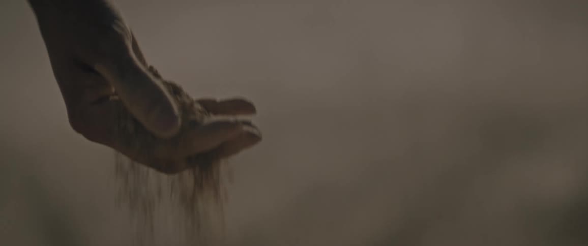 Person picking up dirt in hand during the day