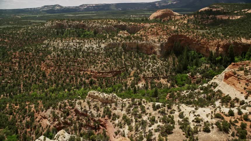 Aerial flyover of desert canyons in Dixie National Forest Utah showcasing red rocks and a tree-lined canyon