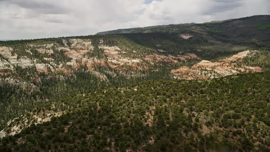  aerial video showcasing an approach to a wide canyon in Dixie National Forest Utah with desert vegetation and stunning mountain views during a partly cloudy day
