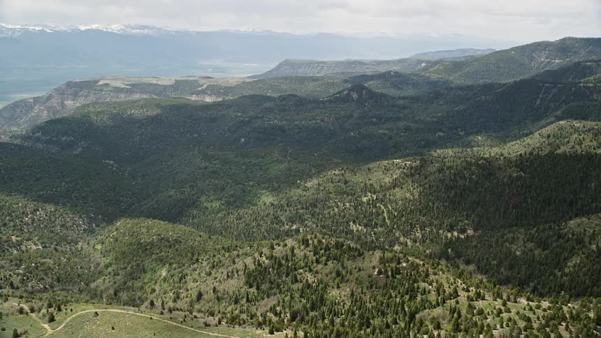  aerial footage showcasing the stunning green mountains and trees of the Wasatch Range in Utah during a sunny day