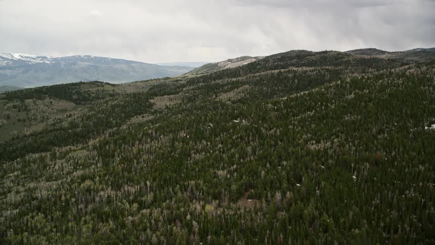  aerial footage of tree-covered mountain slopes evergreen forest and aspen trees in Fishlake National Forest Utah with cloudy skies capturing the natural beauty of the daytime landscape in the Southwest United States during summer
