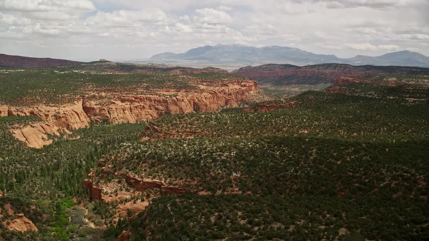  aerial footage captures an flyby over a wide canyon with desert vegetation in Dixie National Forest Utah showcasing the beauty of Southwest United States during summer