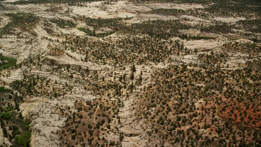 Aerial footage flying over hills desert vegetation and trees in the Grand Staircase-Escalante National Monument Utah with partly cloudy skies showcasing the arid sand soil abundant trees and undergrowth during summer