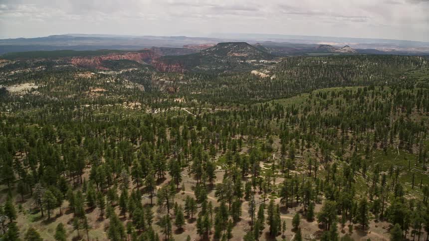 an aerial view of Utah's stunning mountain landscape in Dixie National Forest with a mix of pine forest and rocky terrain passing by