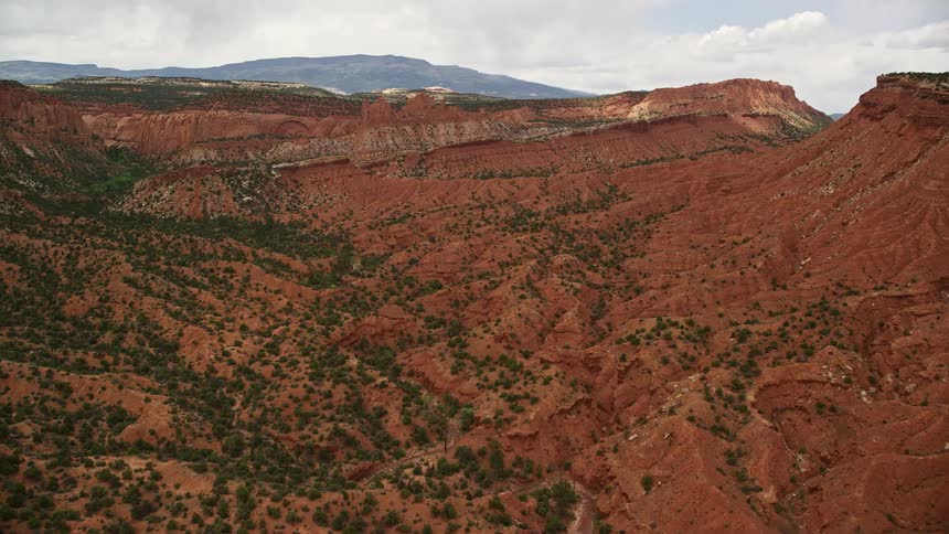 Stunning aerial footage of a red canyon with desert vegetation in Capitol Reef National Park Utah showcasing the breathtaking landscape of the Southwest United States during summertime
