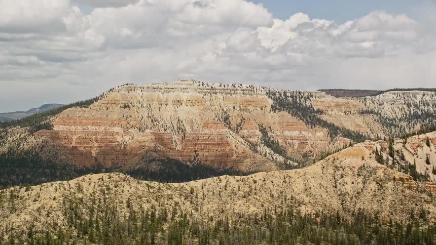 Aerial footage of Barney Top Mesa in Utah showcasing the majestic desert landscape with vegetation in the foreground