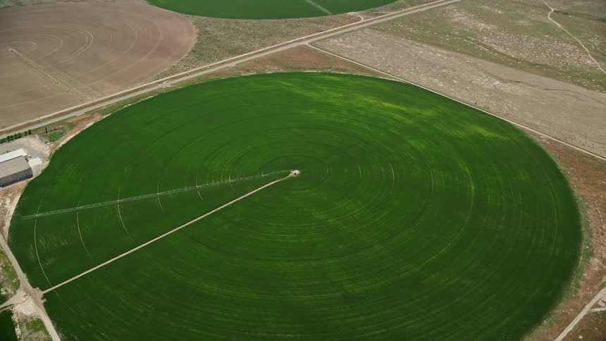  aerial footage of lush green circular crop fields in Elberta Utah with a tilt down to one of them