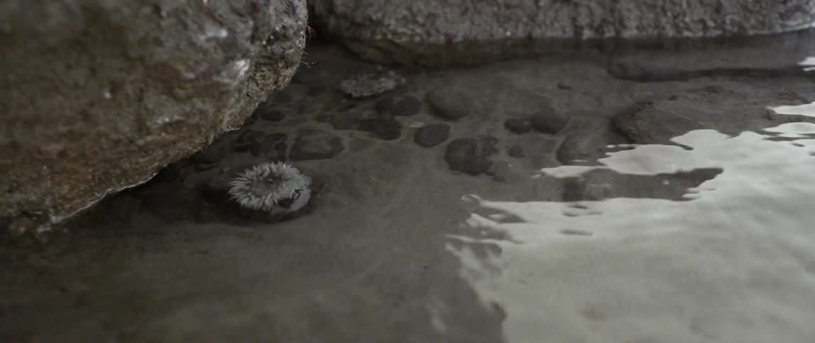 Small rocks are in the water near larger ones