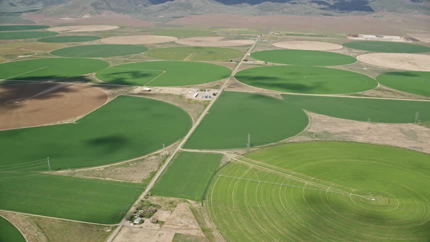 Aerial footage of circular crop fields in Elberta Utah captured on a bright sunny day in a rural area