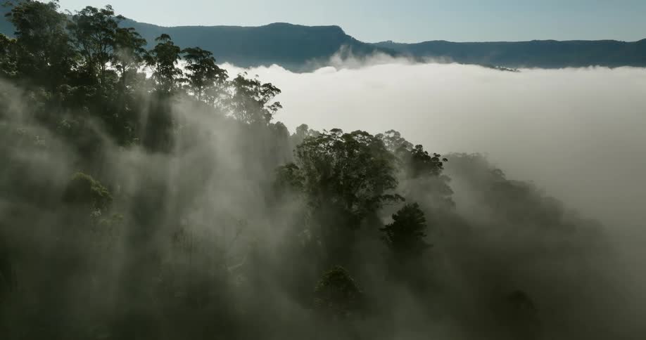 Aerial view of a misty forest on the cliff of a mountain with a mountain range in the background during day time