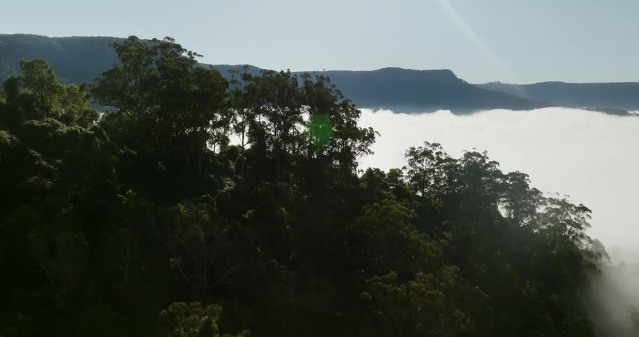 Dense fog covers area between mountains and woods