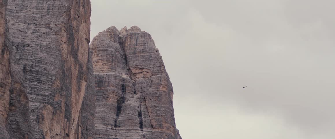 A bird flies toward a tall canyon