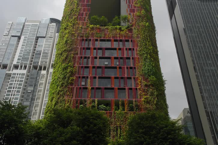 Timelapse of a buildings exterior being covered by vegetation