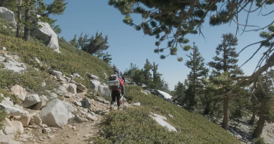 Hikers trek up the mountain